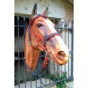 Bridon/Licol TAIMIS tout confort