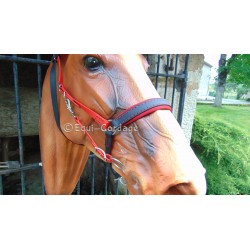 Bridon/Licol TAIMIS tout confort