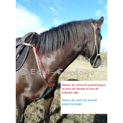 Collier de chasse en 16mm
