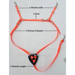 Collier de chasse en 16mm