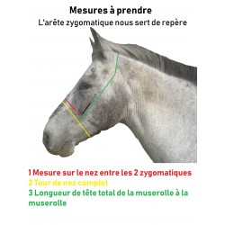Licol à muserolle indienne