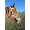 Filet pour hackamore