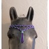 Frontal Princesse