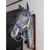 Hackamore Flower