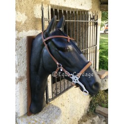 Filet pour hackamore
