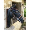 Filet pour hackamore