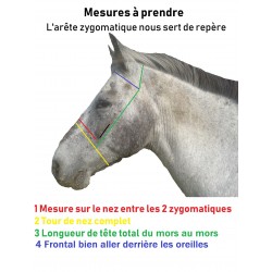 Bridon/licol TAIMIS