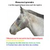 Bridon/licol TAIMIS