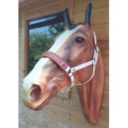 Licol d'attache Fin de série Taille cob