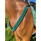 Collier de chasse Nevada