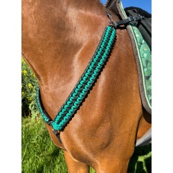 Collier de chasse Nevada