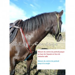Collier de chasse Nevada