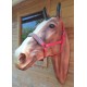 Licol d'attache Fin de série Taille cheval