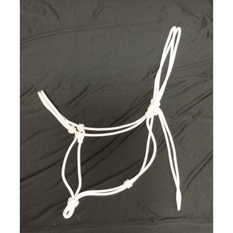 Licol étho simple Cheval