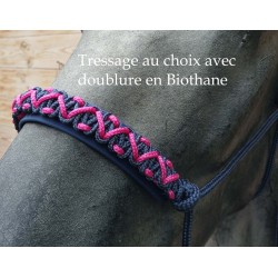 Licol éthologique bicolore