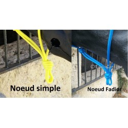 Licol éthologique Simple