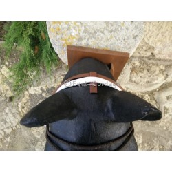 Lanière avec frontal Cousu